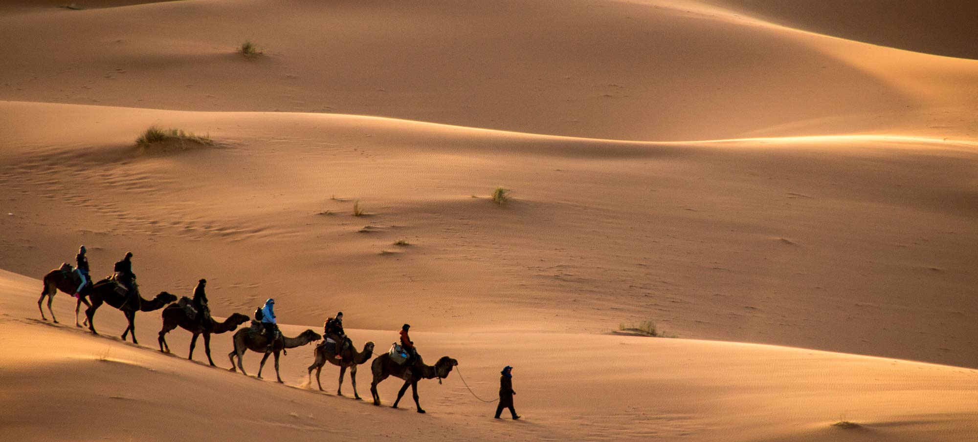 moyen-orient-voyage Désert du mMoyen-Orient